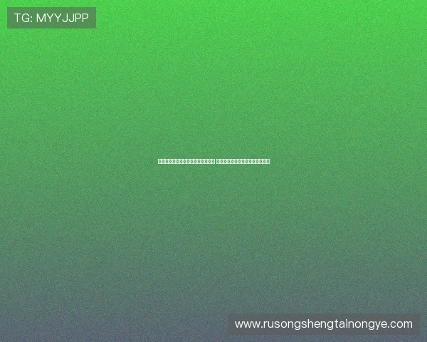 布兰比拉:尤文球员具备实力与经验 伊尔迪兹应获得更多自由发挥空间