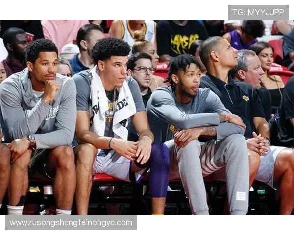 鹈鹕队与蔡斯亨特及约什奥杜罗签署Exhibit10合同加强阵容深度