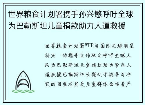 世界粮食计划署携手孙兴慜呼吁全球为巴勒斯坦儿童捐款助力人道救援
