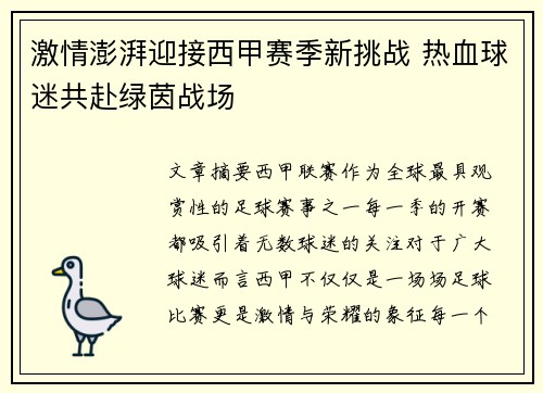 激情澎湃迎接西甲赛季新挑战 热血球迷共赴绿茵战场